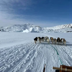 290bed48-90bf-4576-90ed-09abeb8e19d2